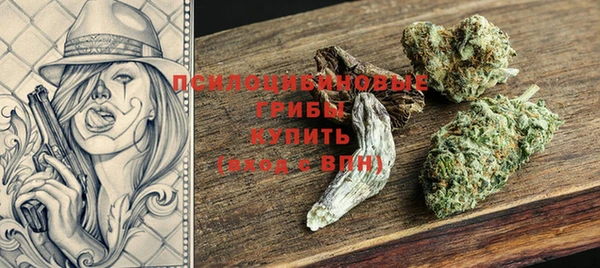 прущая мука Осташков