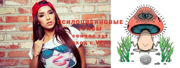 прущая мука Осташков