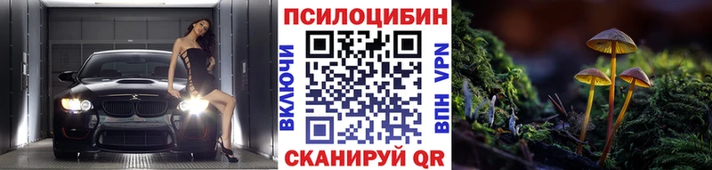 Псилоцибиновые грибы прущие грибы  где найти наркотики  Дербент 