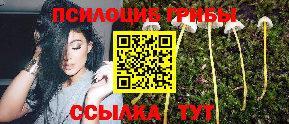 Галлюциногенные грибы прущие грибы Дербент